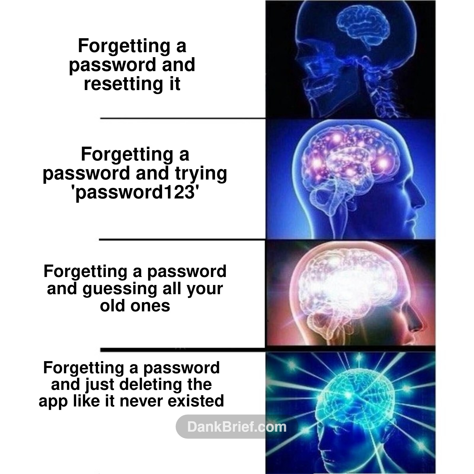 My brain cells doing overtime