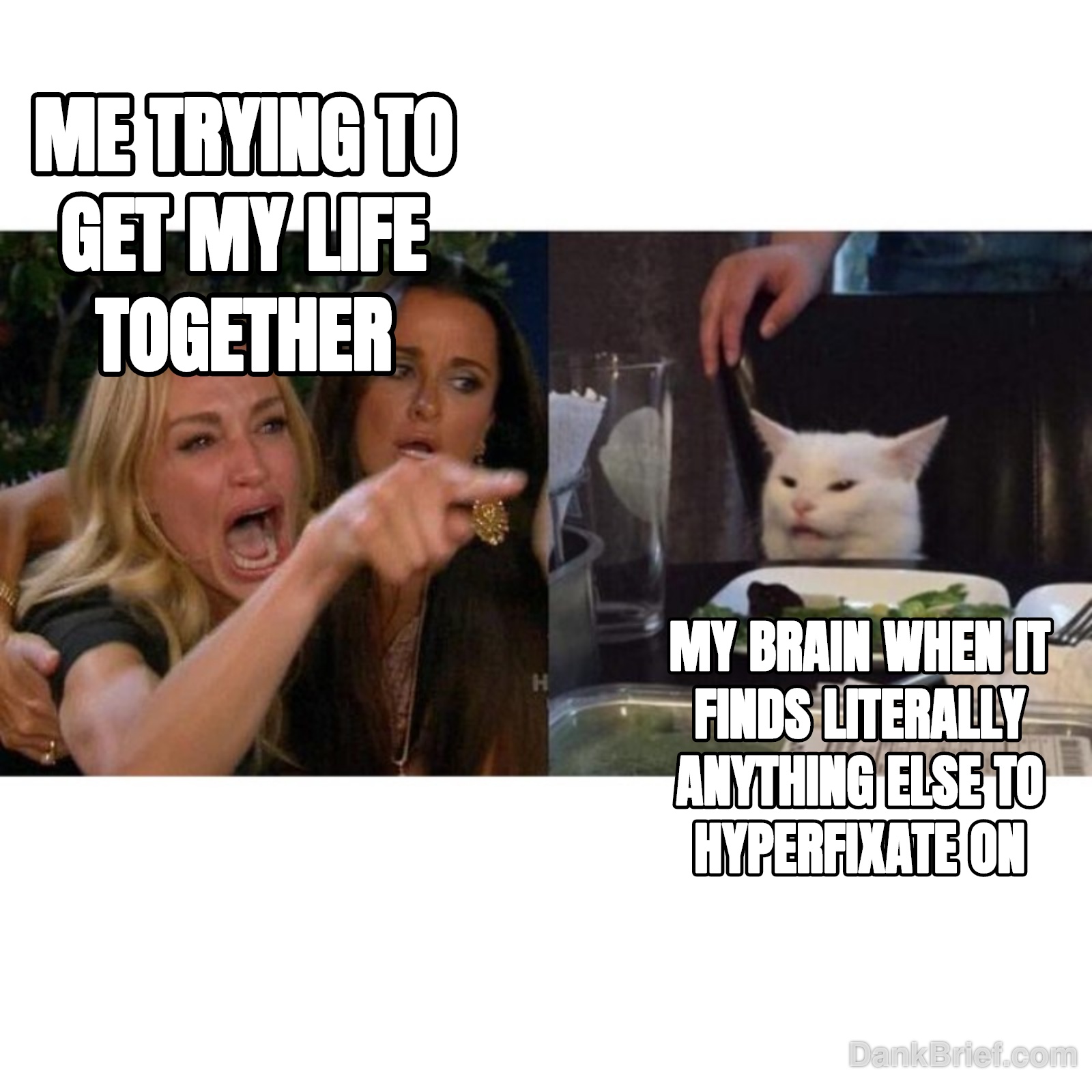 My brain cells, every single day.