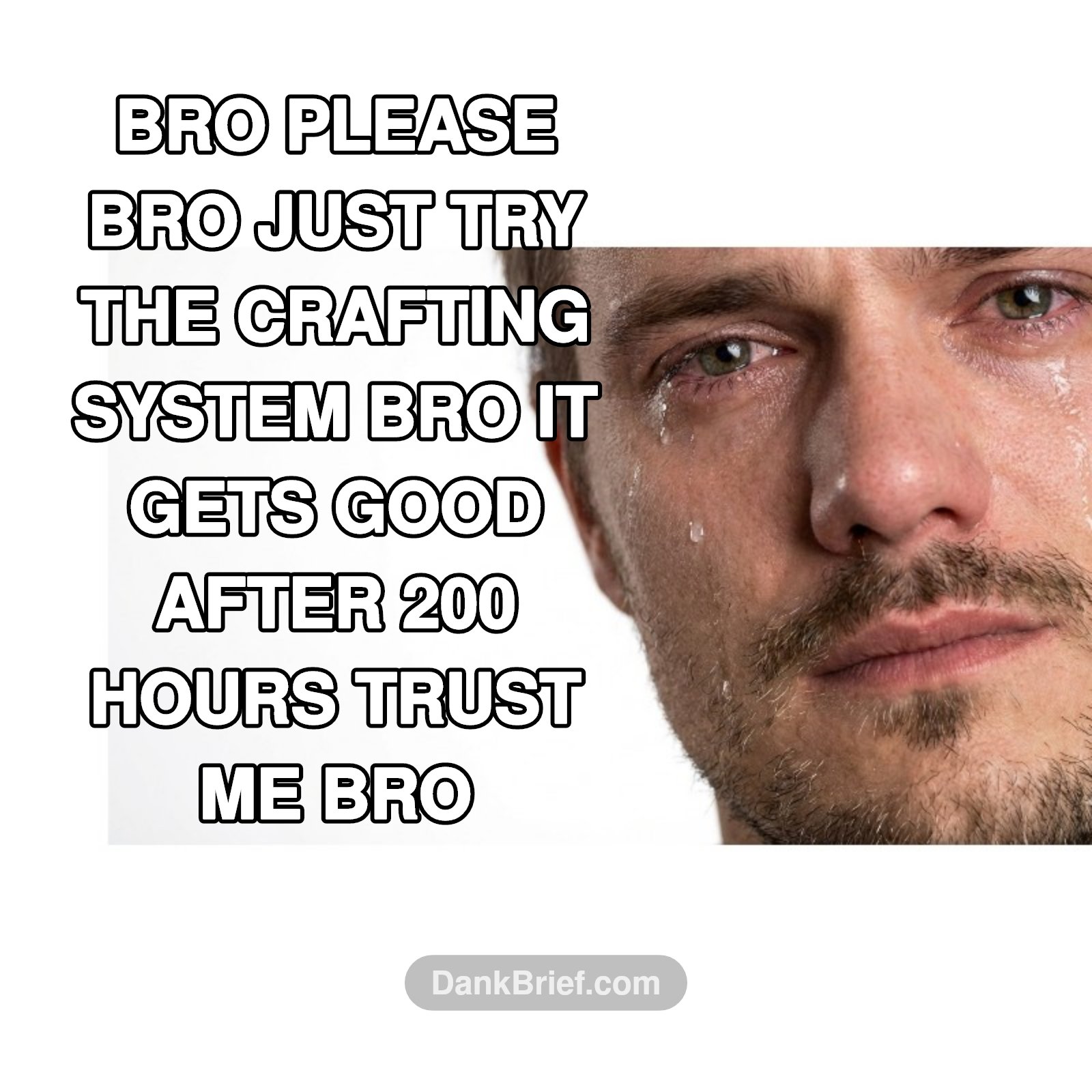 Me trying to get my friends to play the new grindy MMO