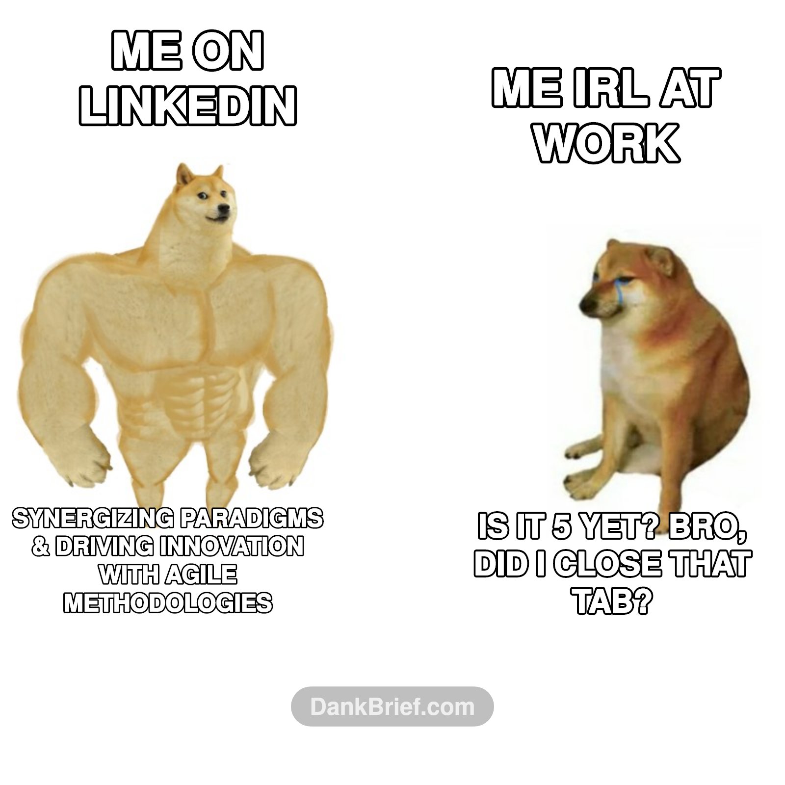 My LinkedIn vs. My Reality