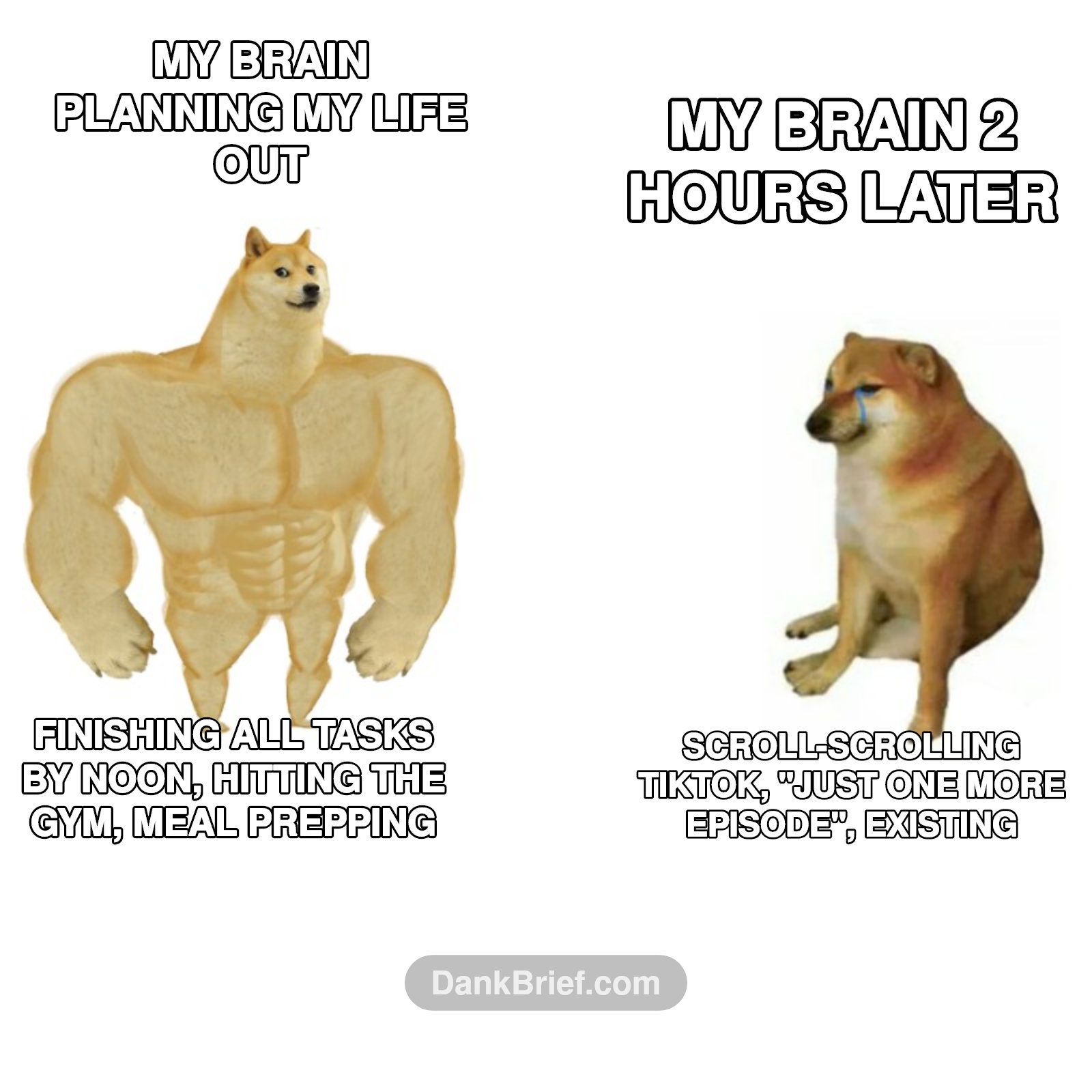 My inner monologue vs. reality check