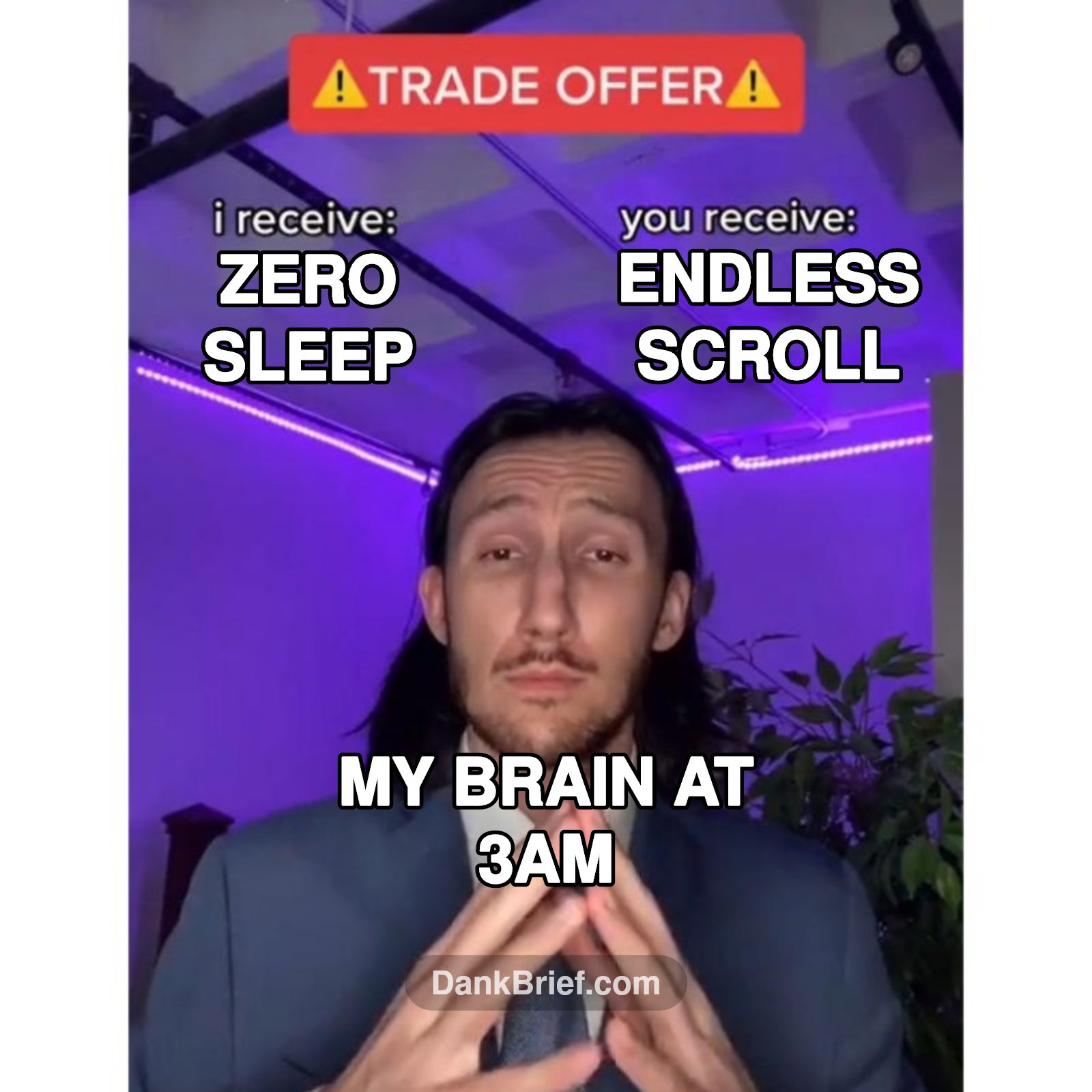 POV: My brain every night