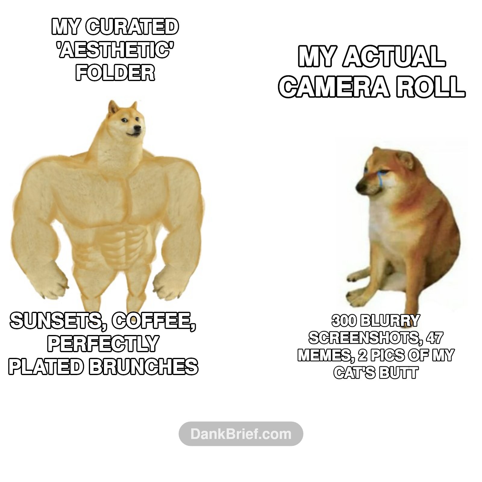 My camera roll is a war zone, bro.