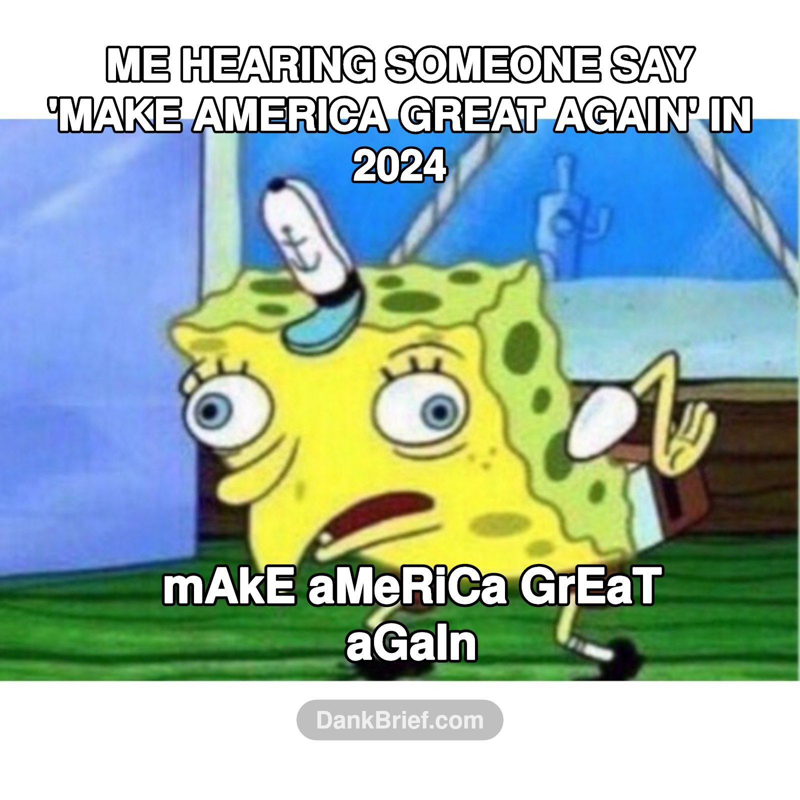 MAGA be like...