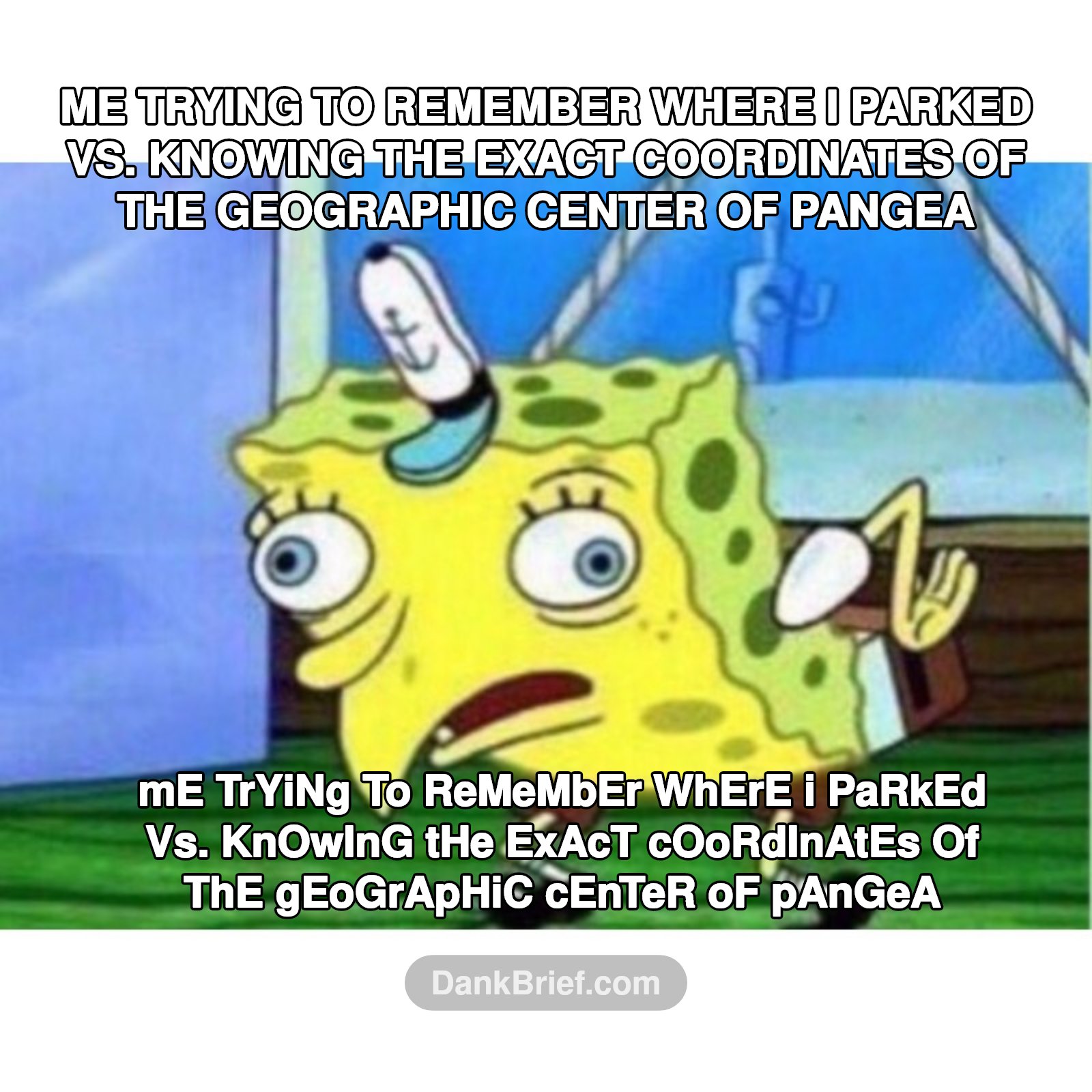 My brain picks its battles
