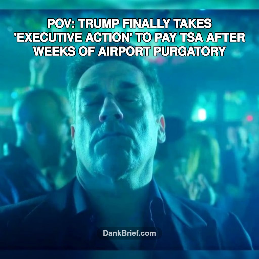Me when the TSA lines magically disappear after weeks of airport purgatory