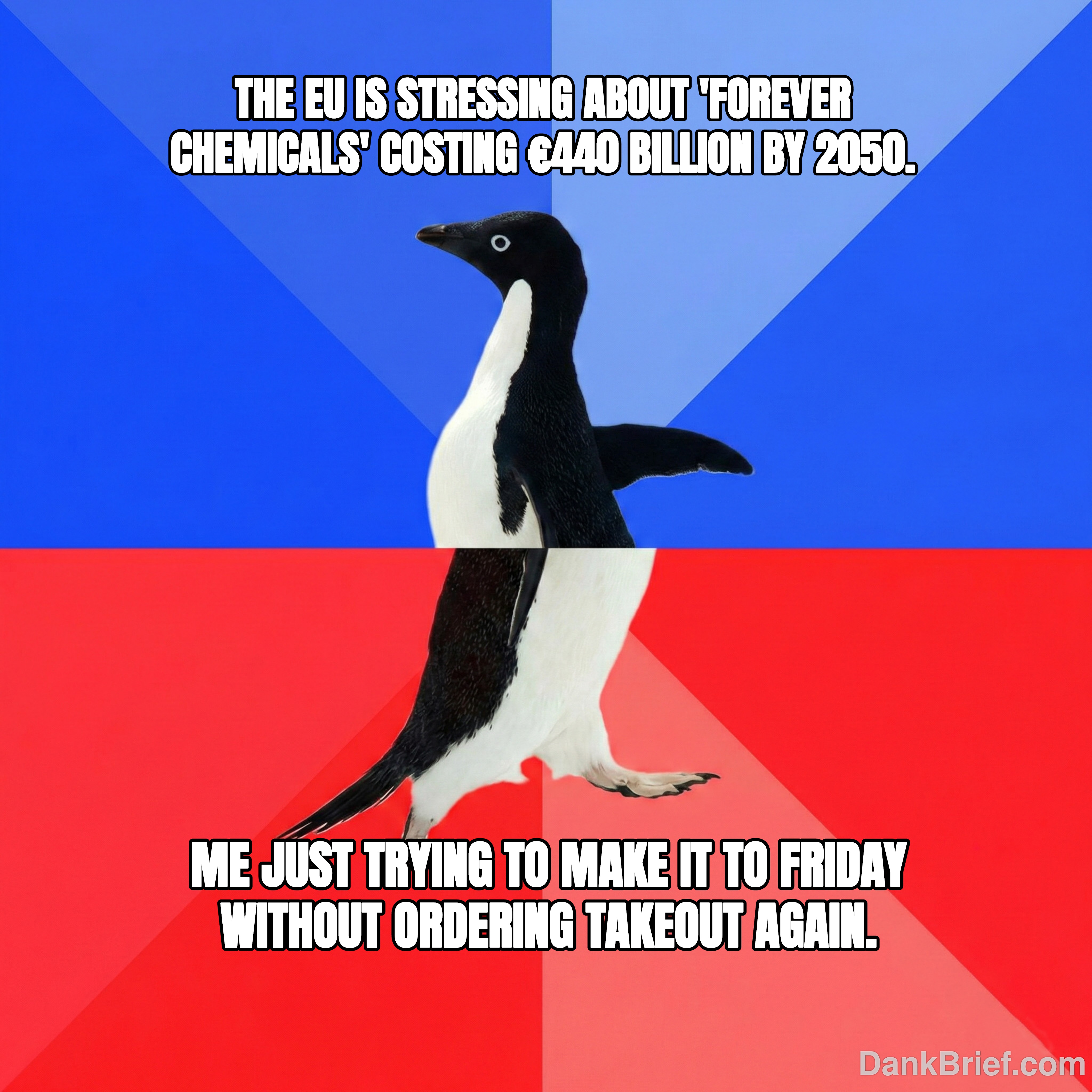 Future Me's Problem, Bro