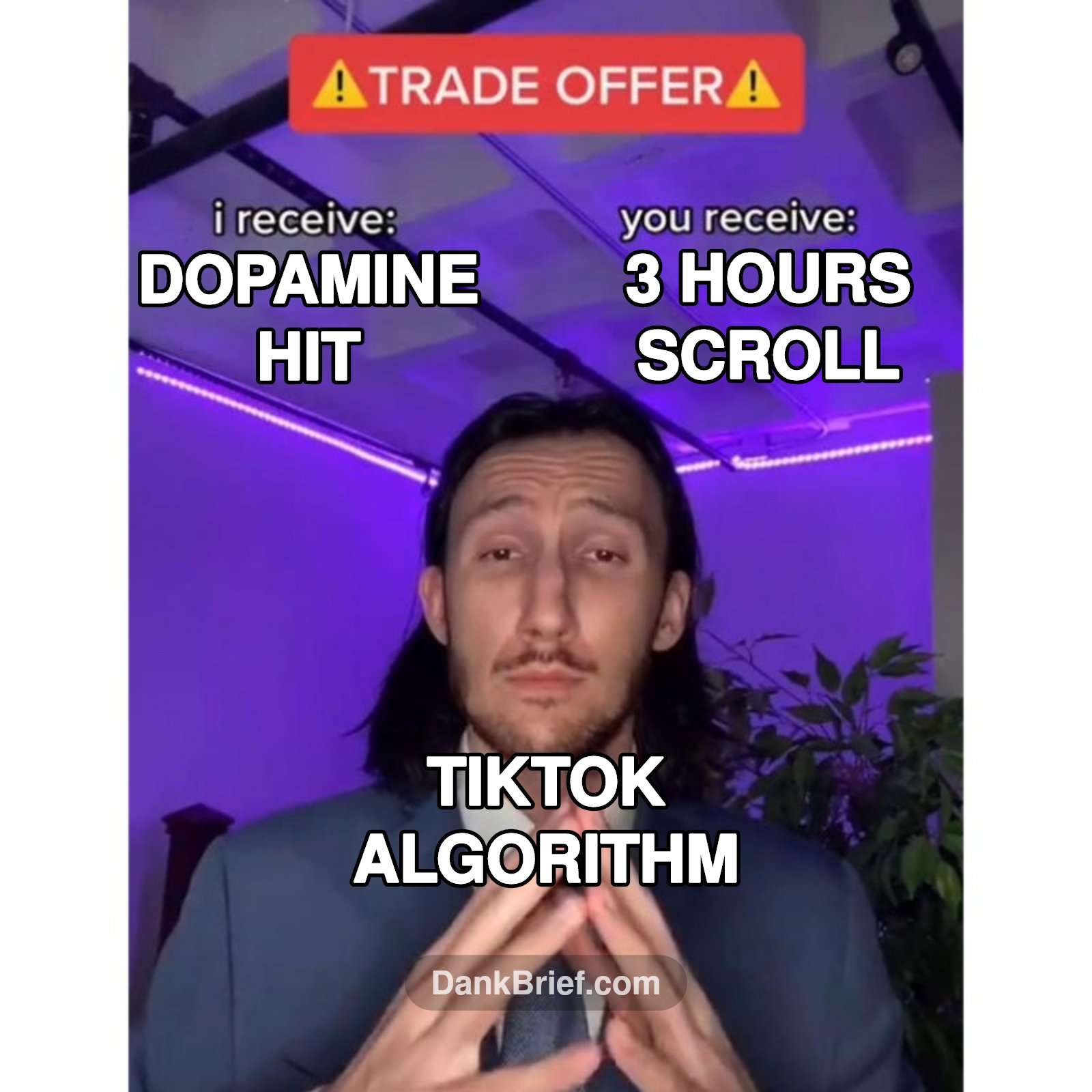 Me when the TikTok algorithm