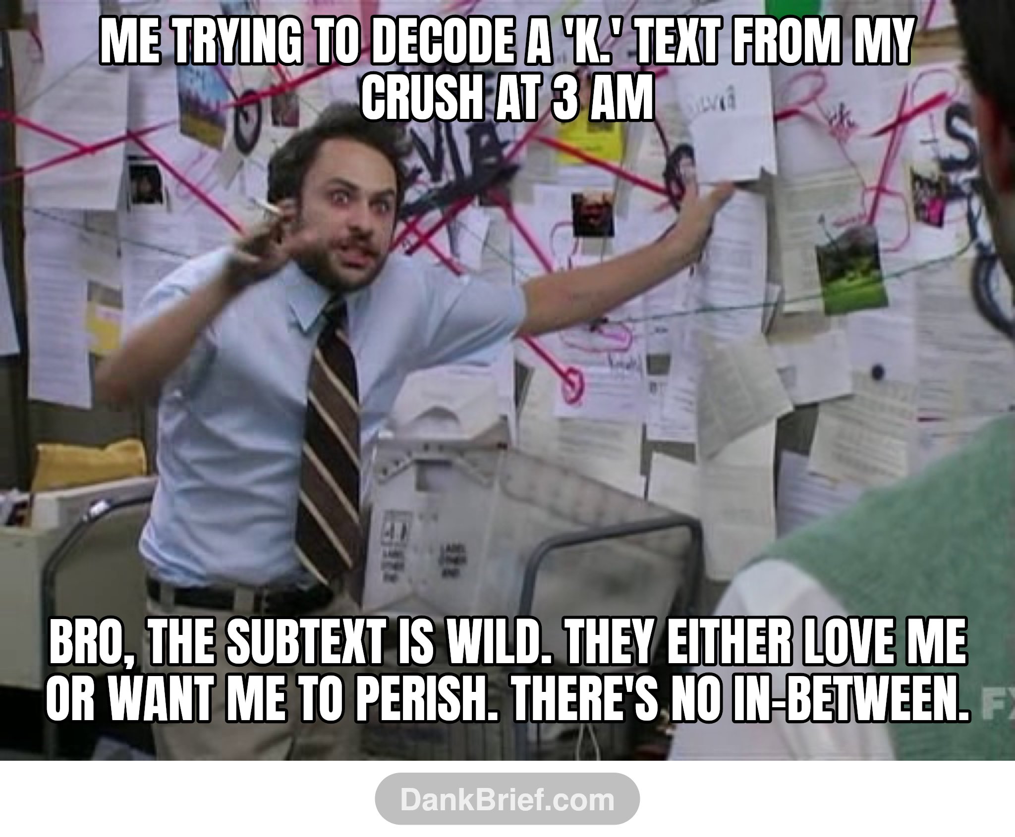Me trying to decode a 'K.' text from my crush at 3 AM / Bro, the subtext is WILD. They either love me or want me to perish. There's no in-between.