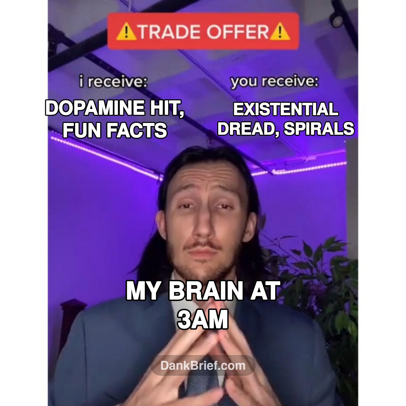 POV: Your brain after a Wikipedia deep dive