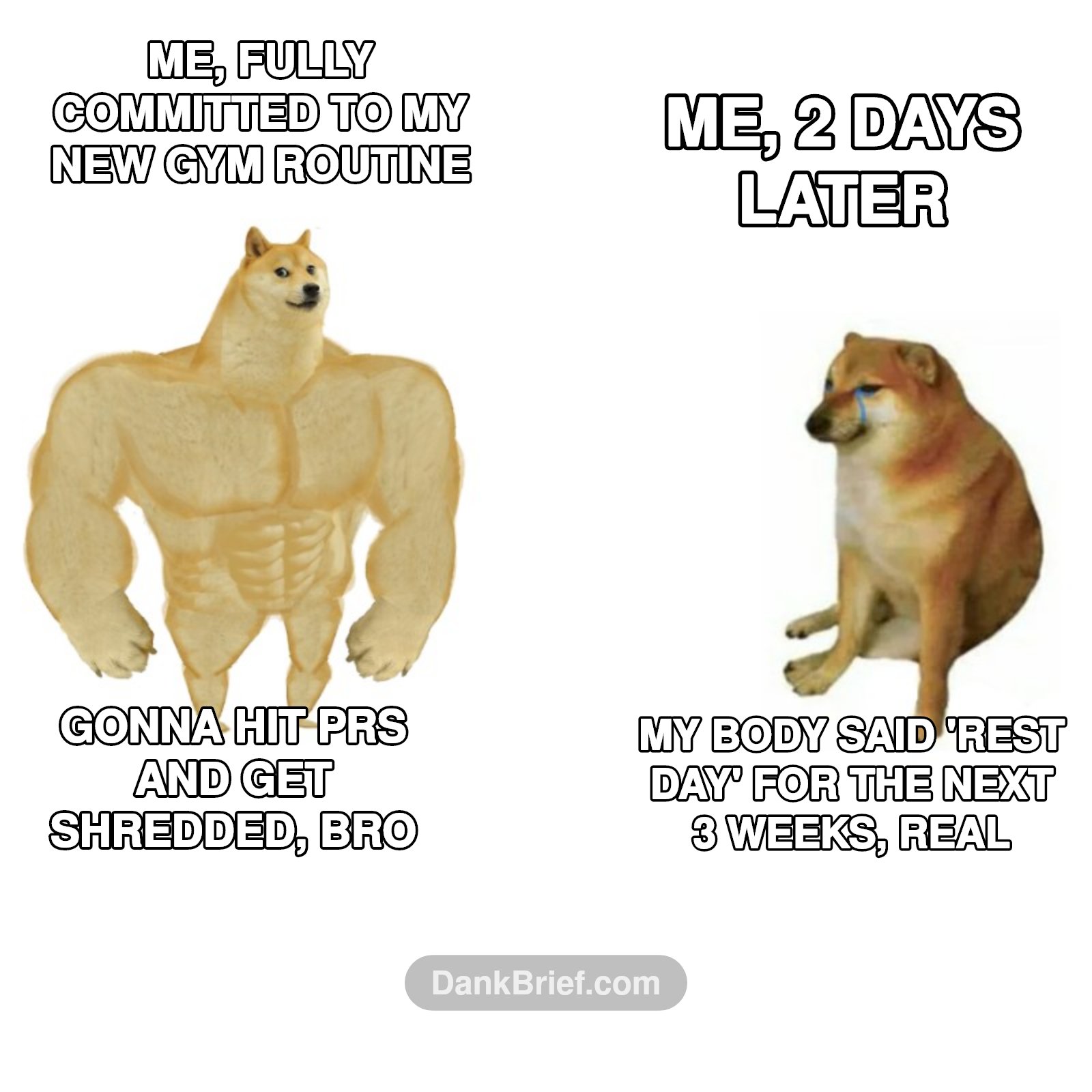 Gym plans vs. gym reality, a timeless saga