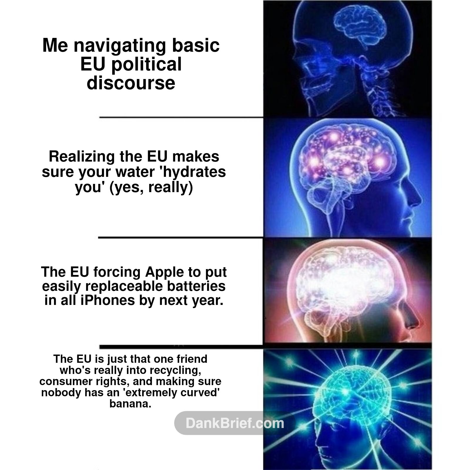 POV: You finally understand the EU's vibe