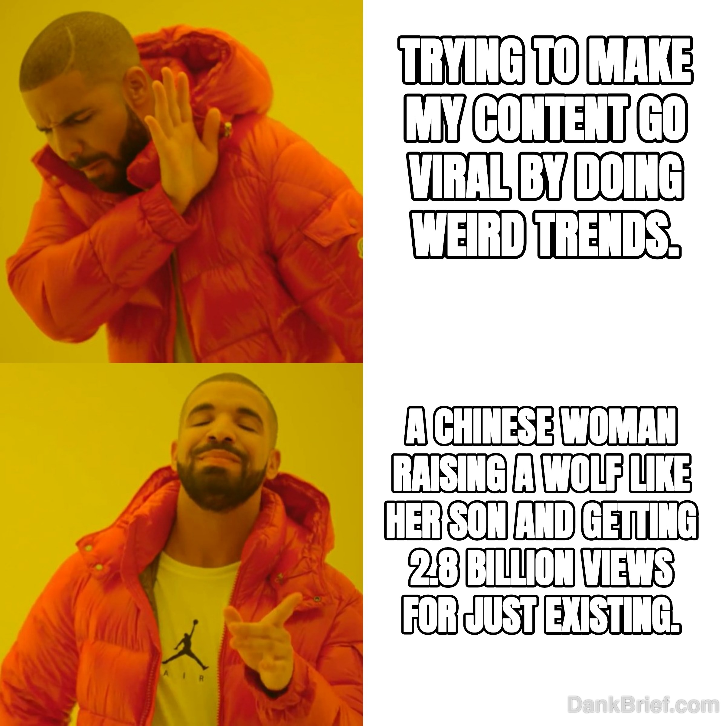 My Brain Rot from Social Media vs. Actual Wholesome Viral Content