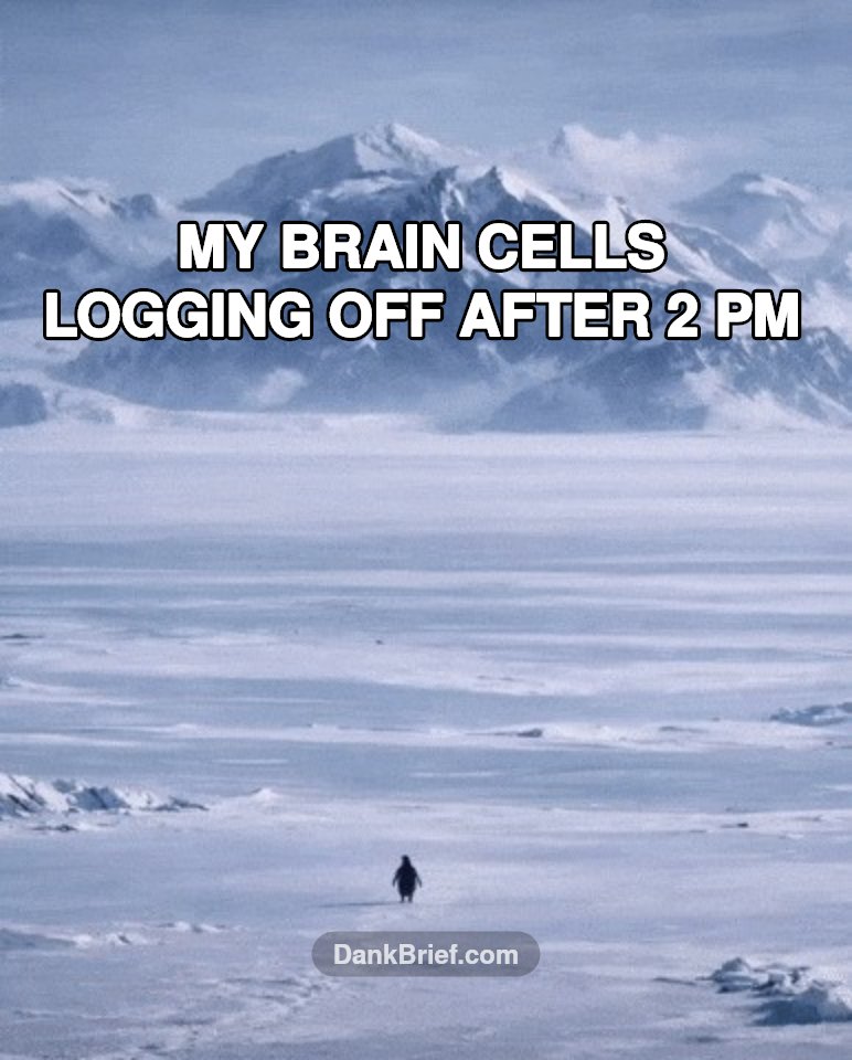 Brain.exe has stopped working
