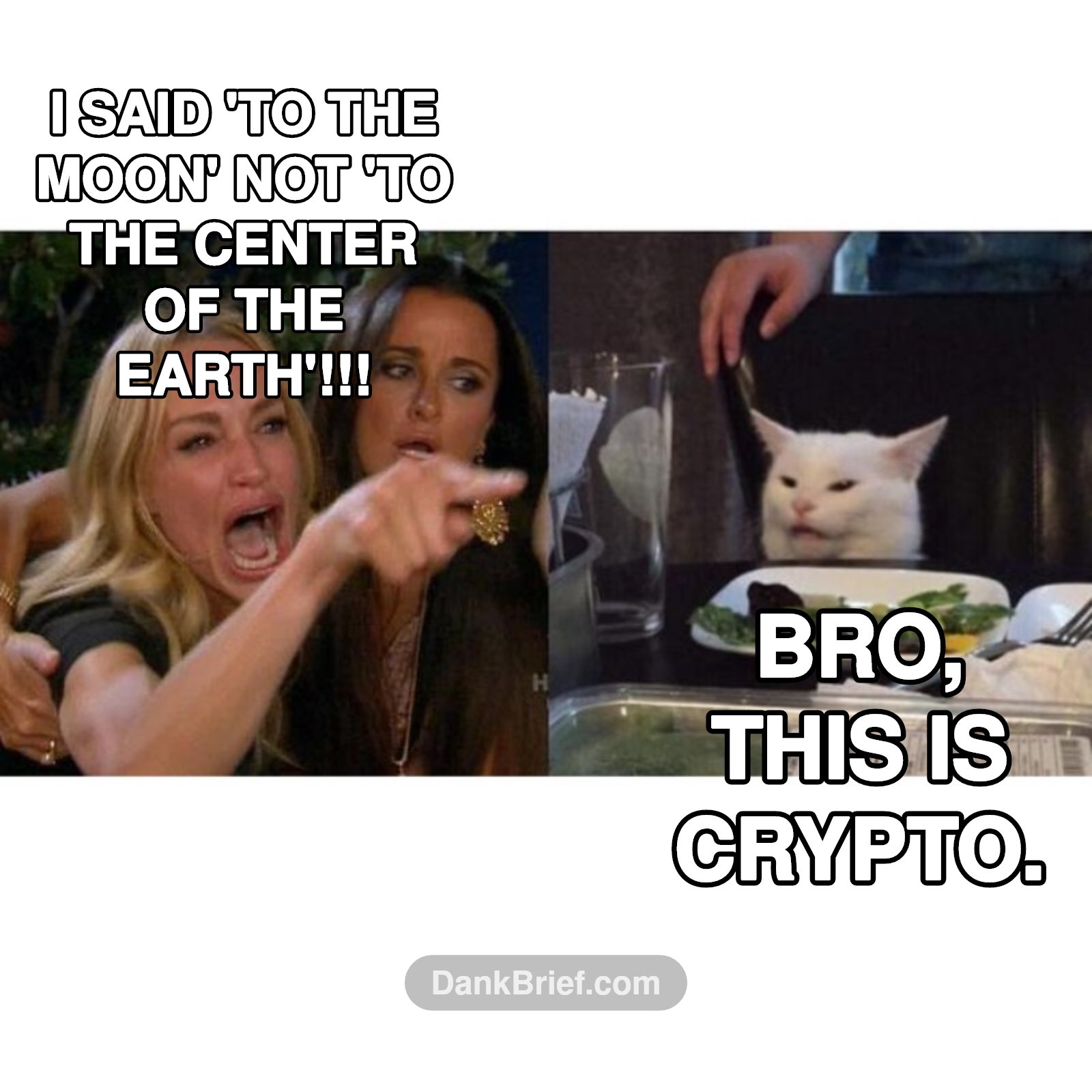My portfolio after my 'research'