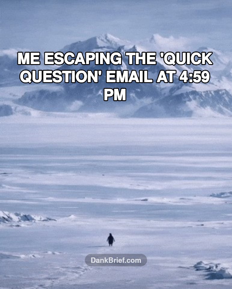 My brain cells leaving the chat