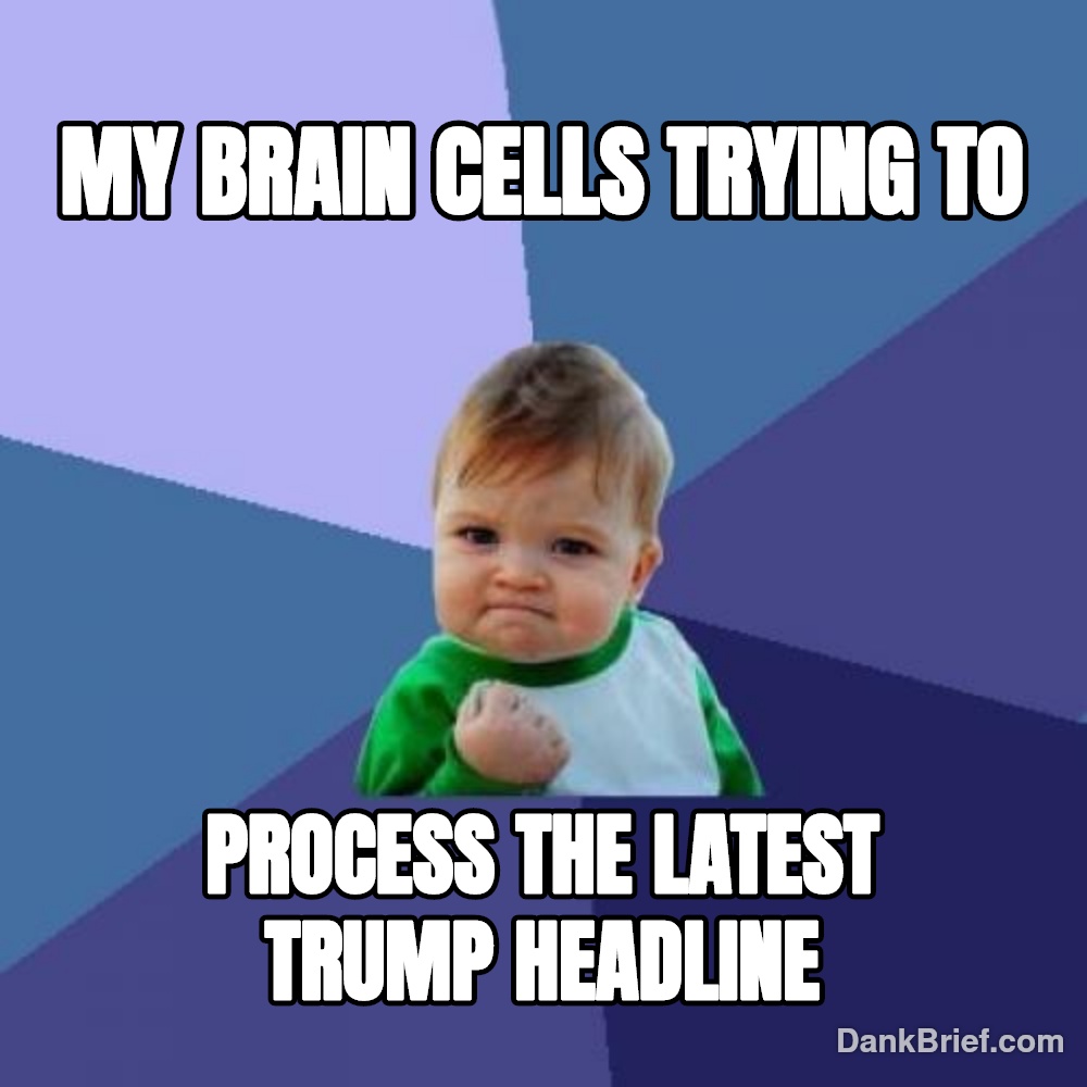 My brain on current events