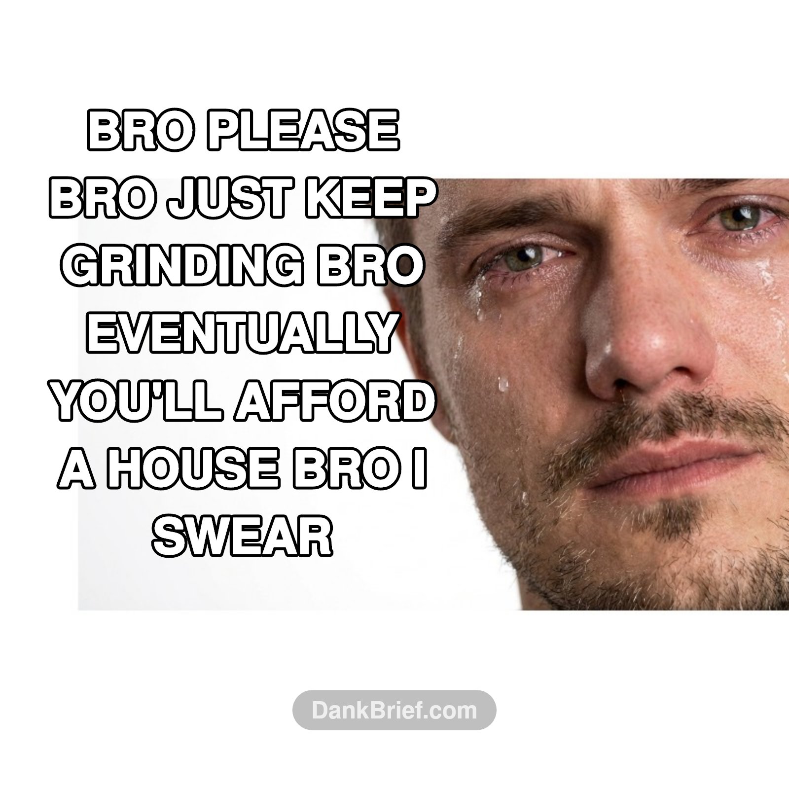 The American Dream (TM)