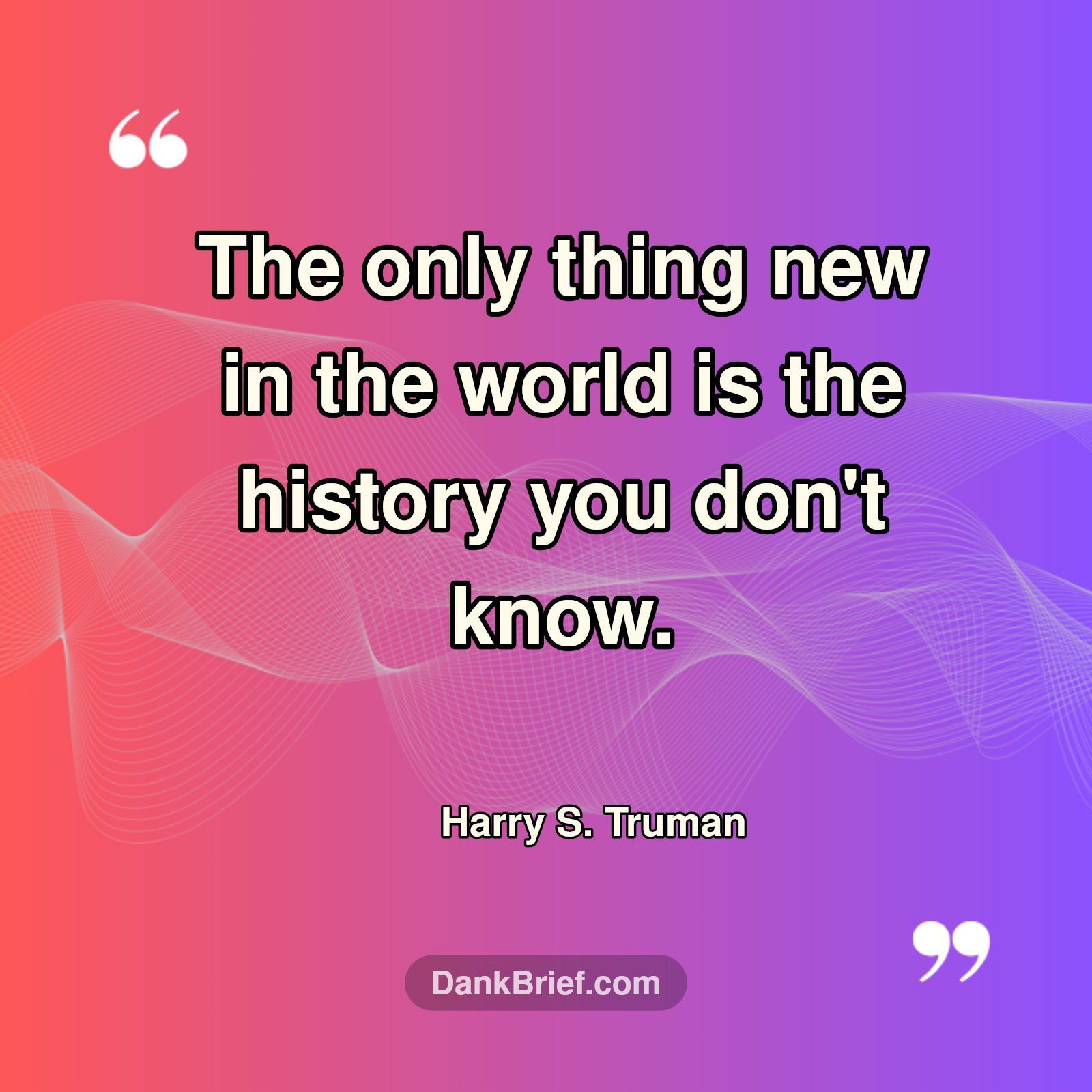 Unlock the Past, Understand the Now.