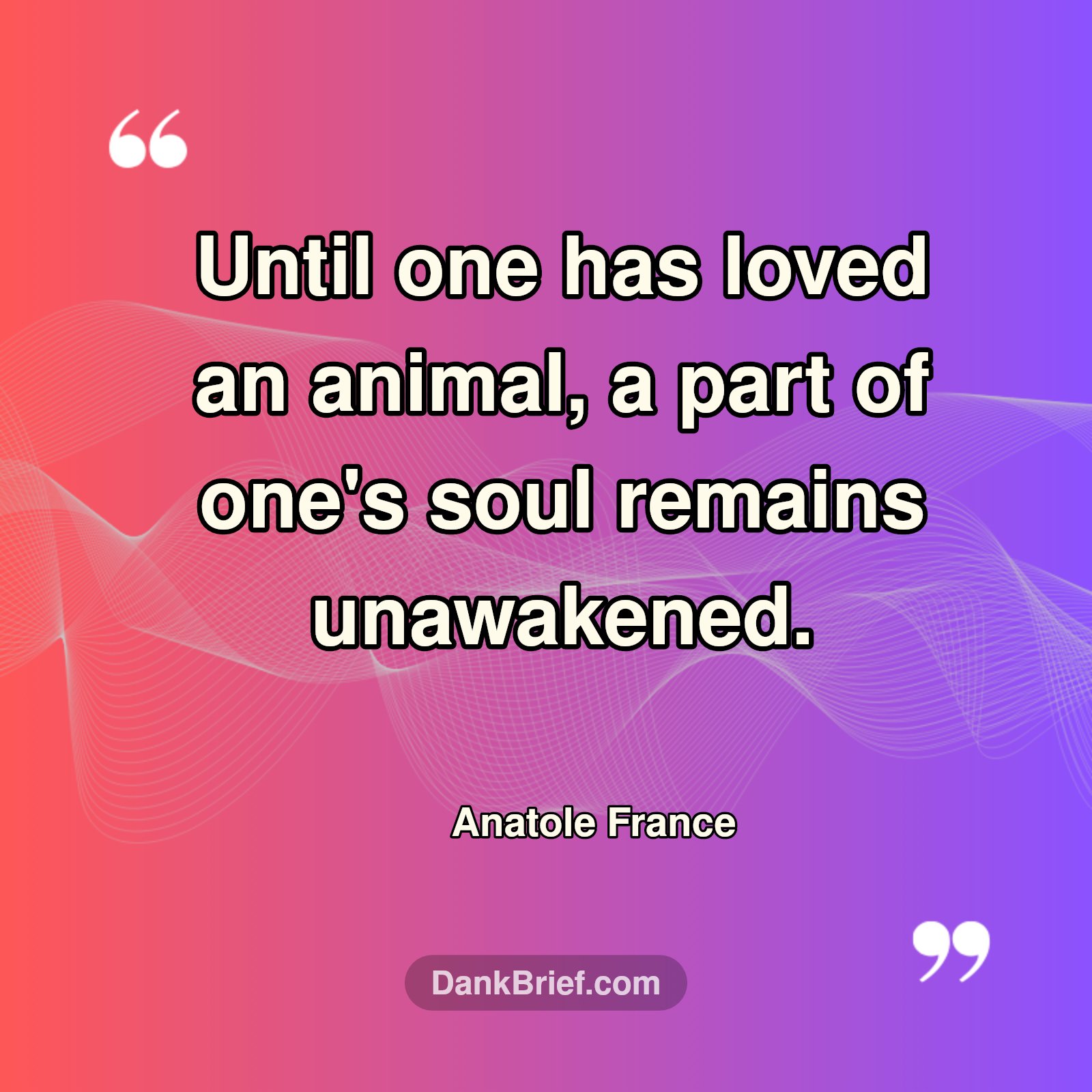 Soul Awakening: The Power of Pet Love.