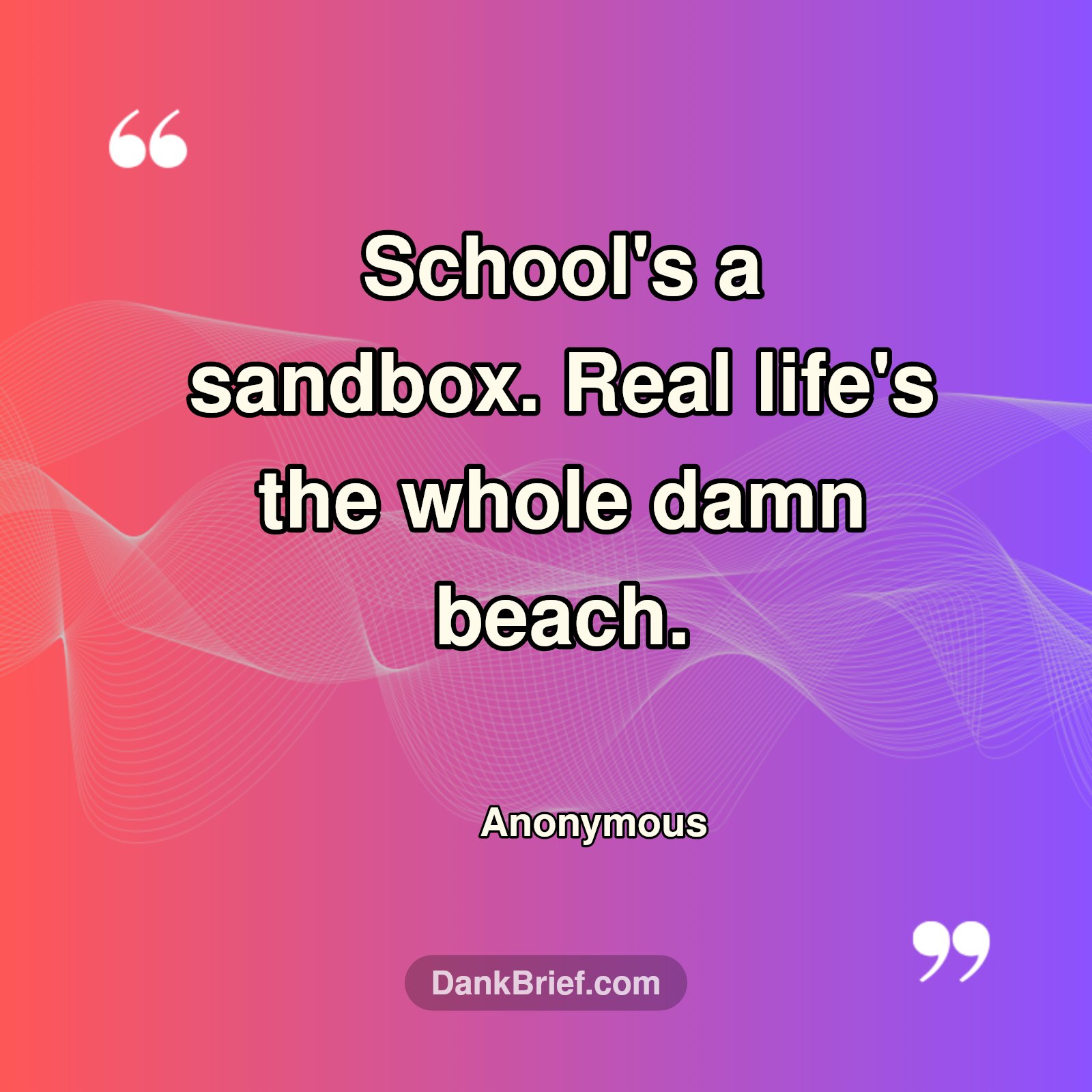 Sandbox vs. Reality