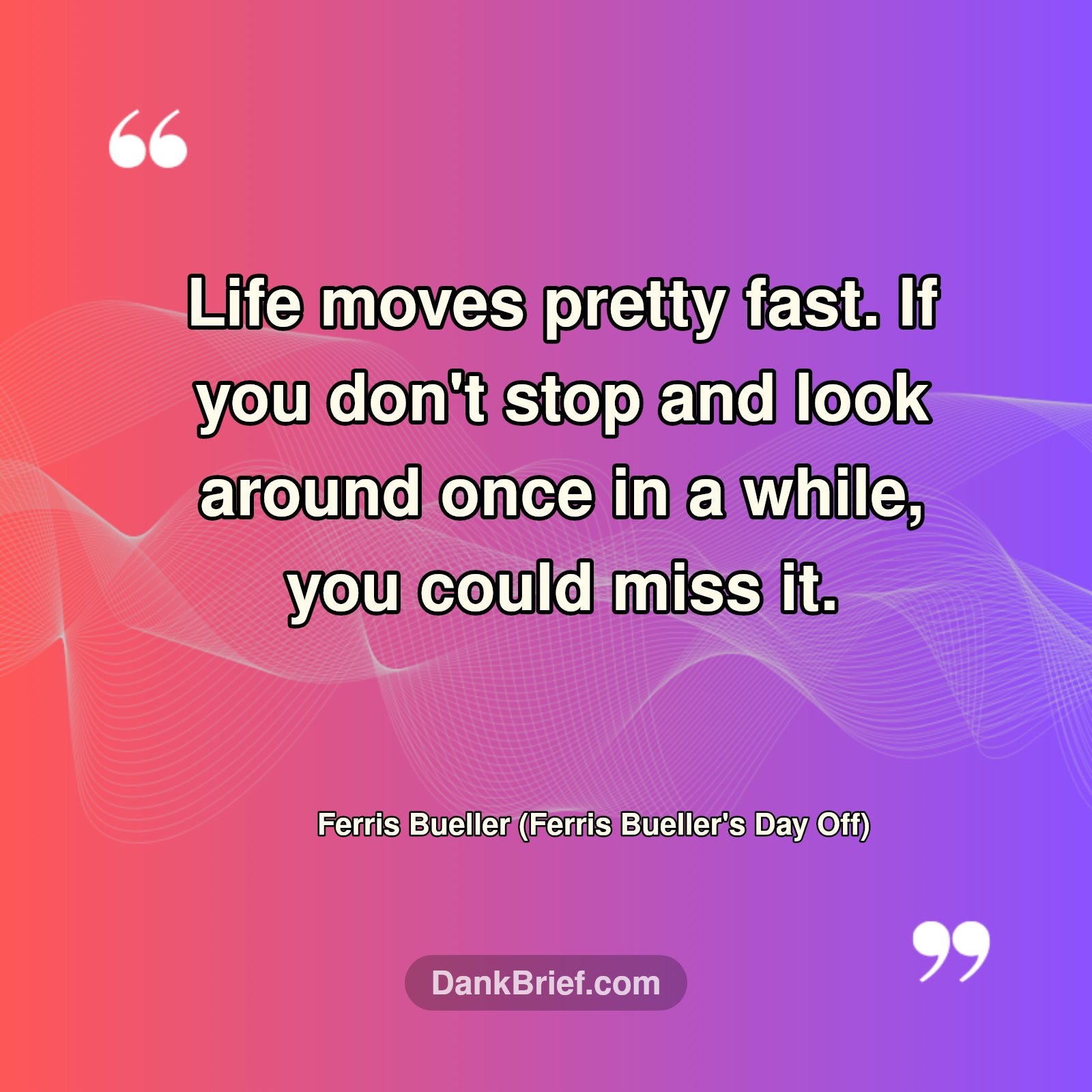 Life's Fast Lane: Don't Miss It