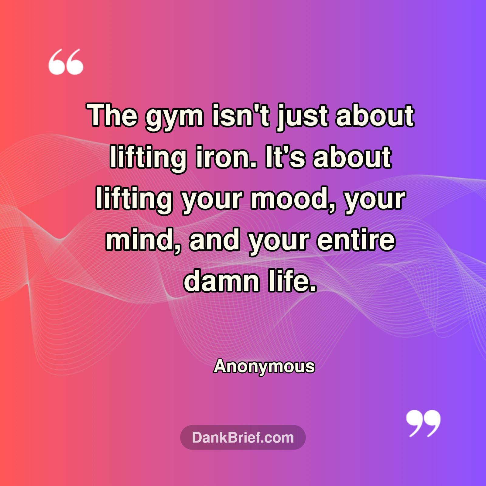 Gym Grind: Lift More Than Just Weights