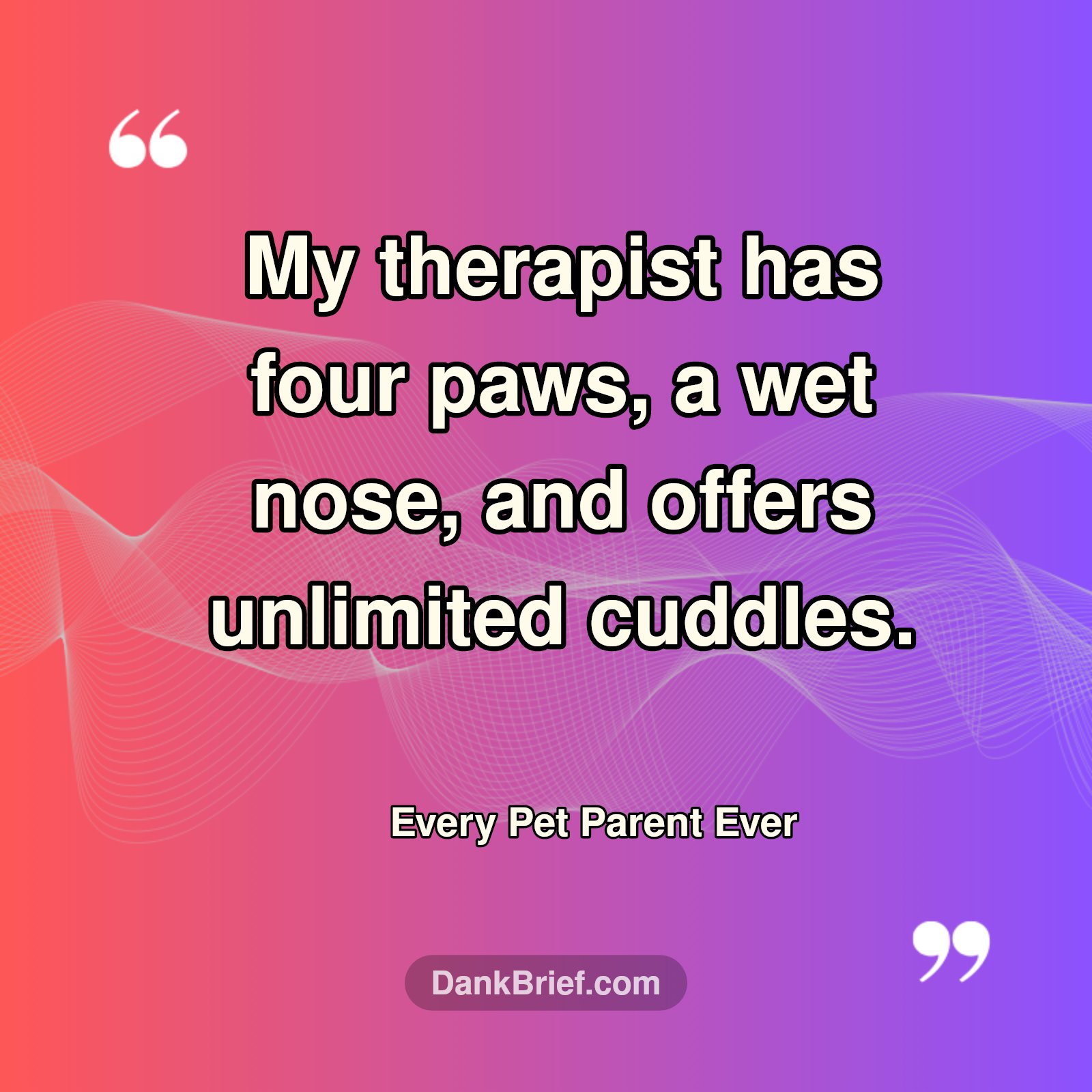 Best Therapist Has Four Paws