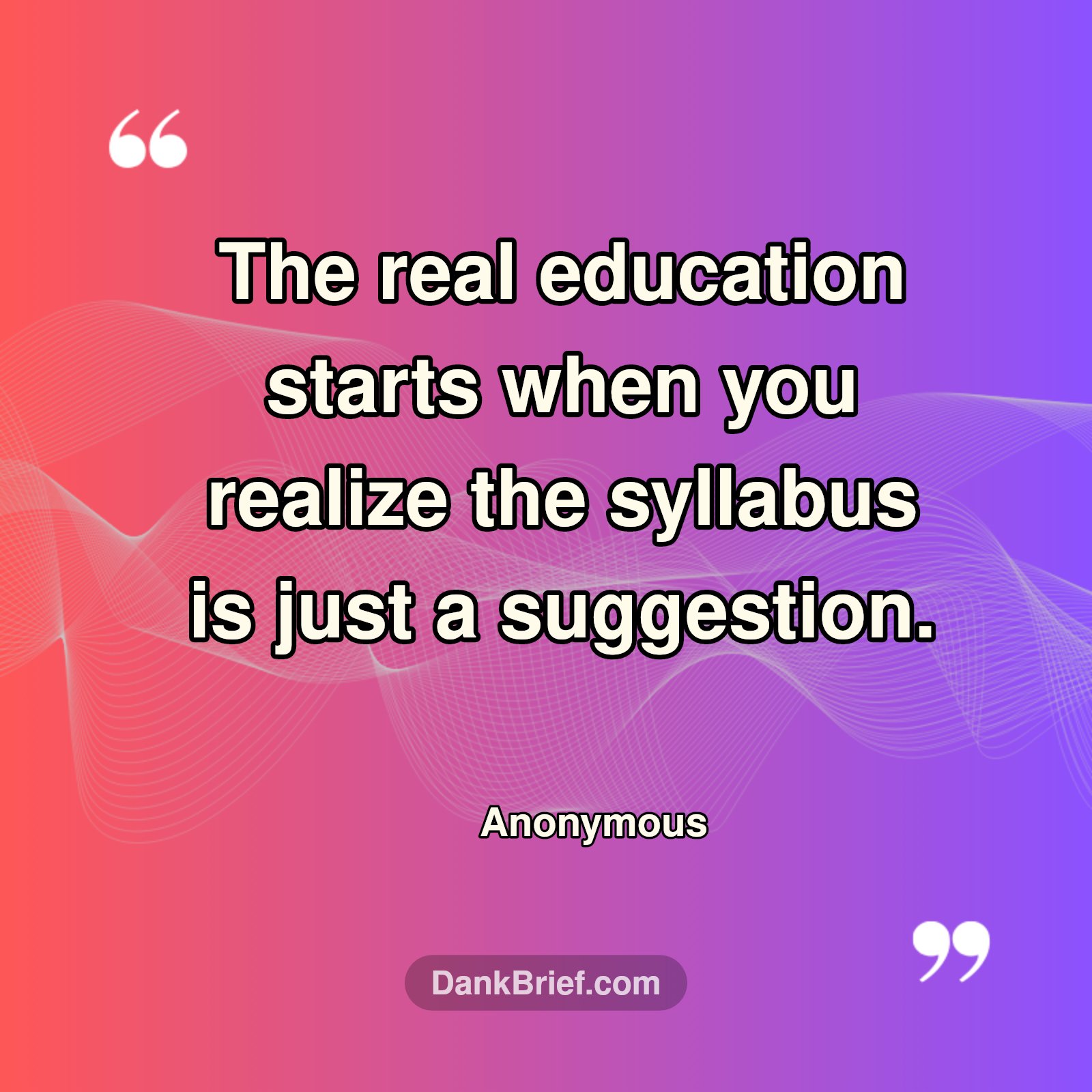 Beyond the Syllabus