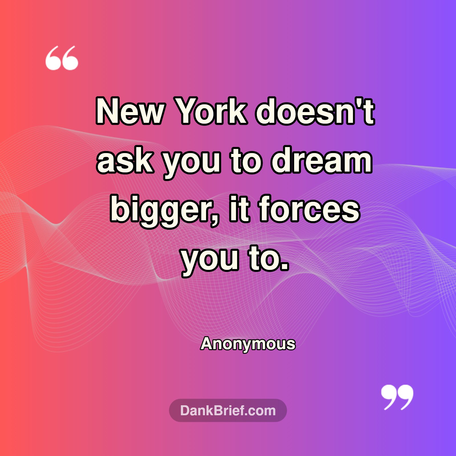 NYC Dreams