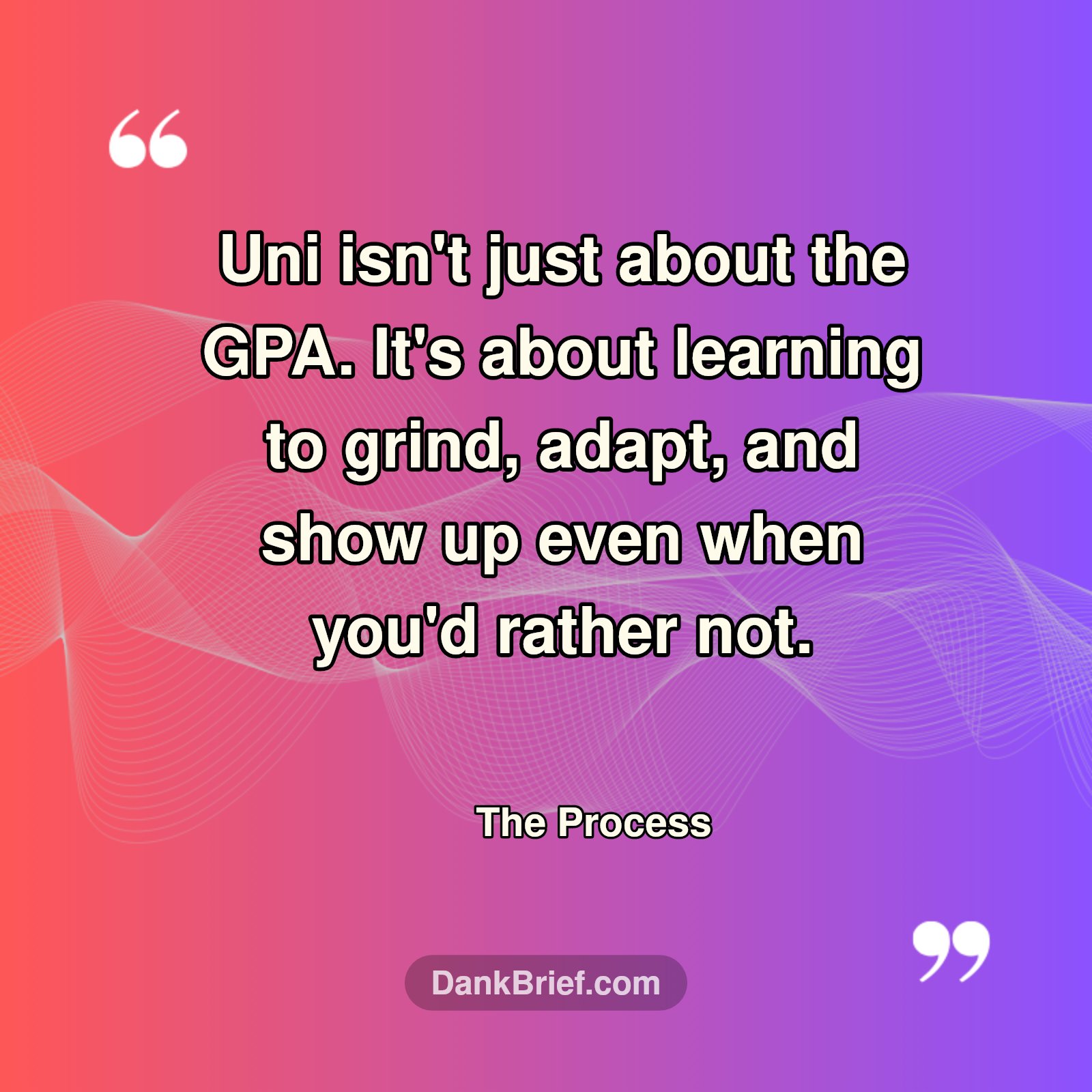 Beyond the Grades