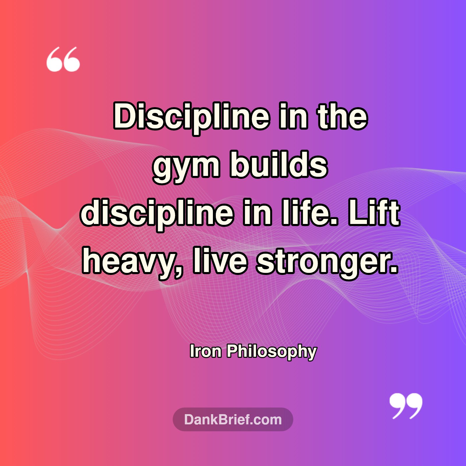 Gym Grind: Lift Heavy, Live Stronger