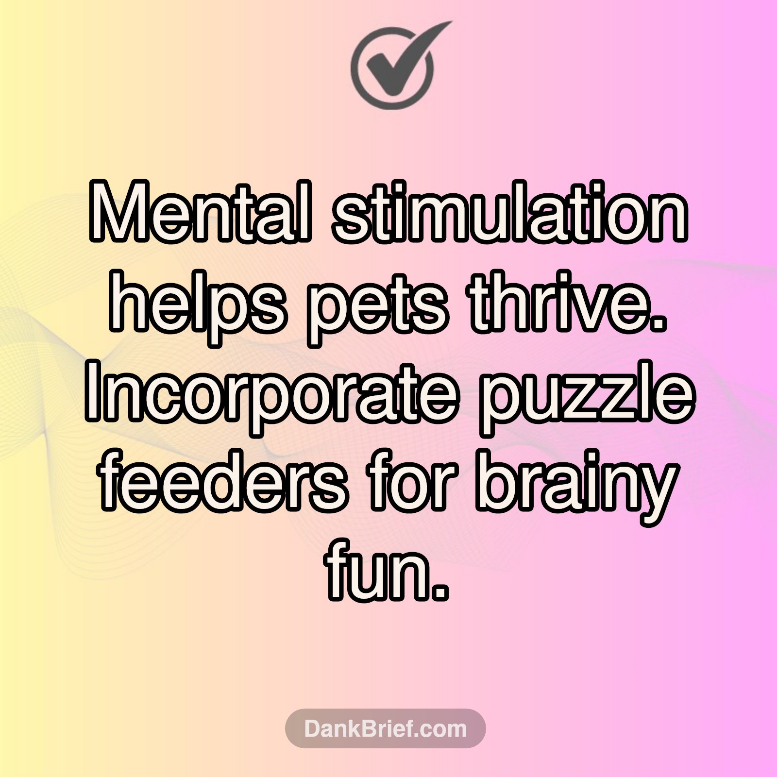 Pet Bored? Try This!