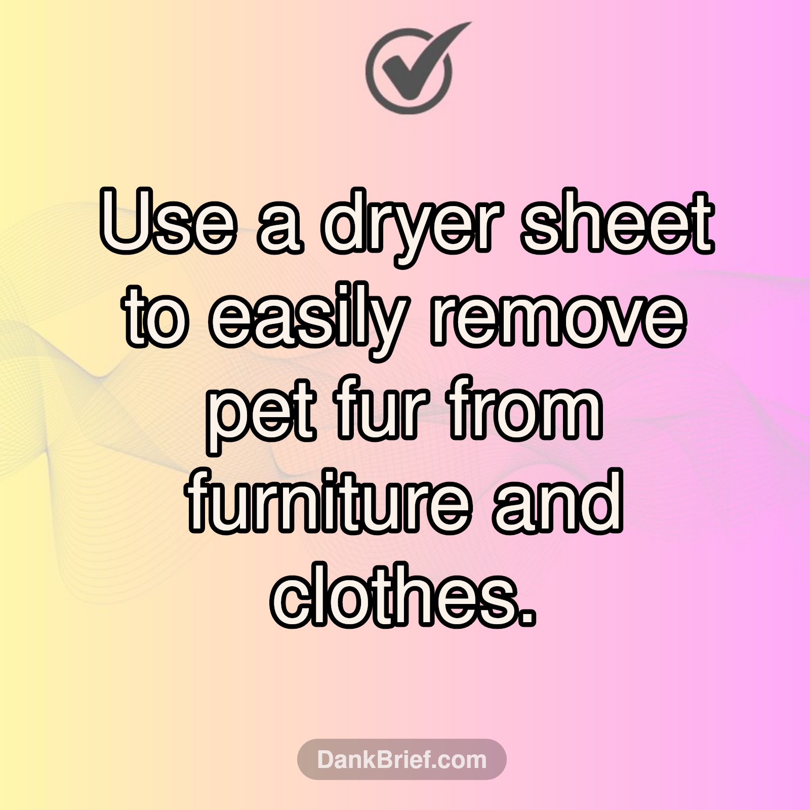 Pet Fur Gone Wild? 🐾 Dryer Sheet Hack!