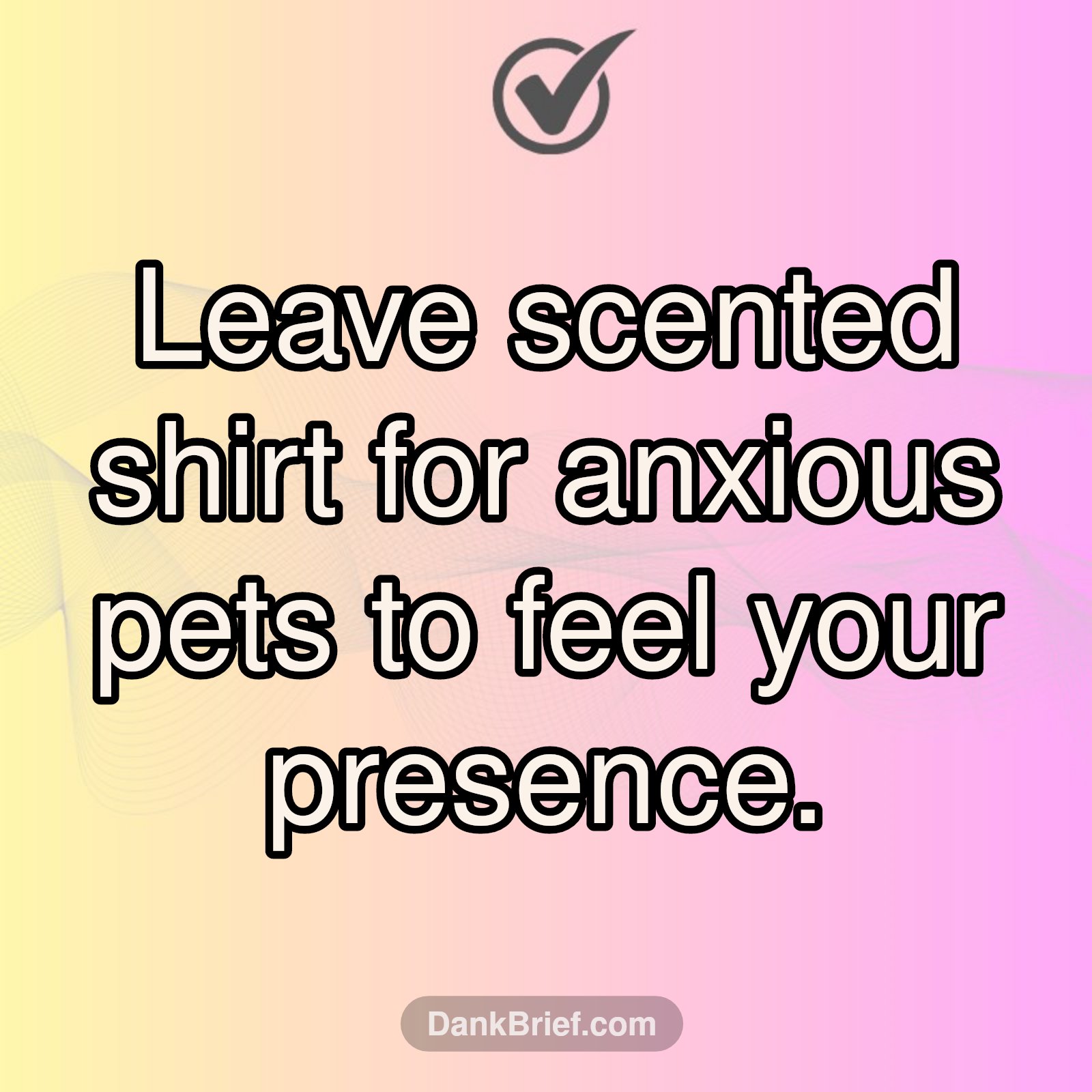 Calm Your Anxious Pup!