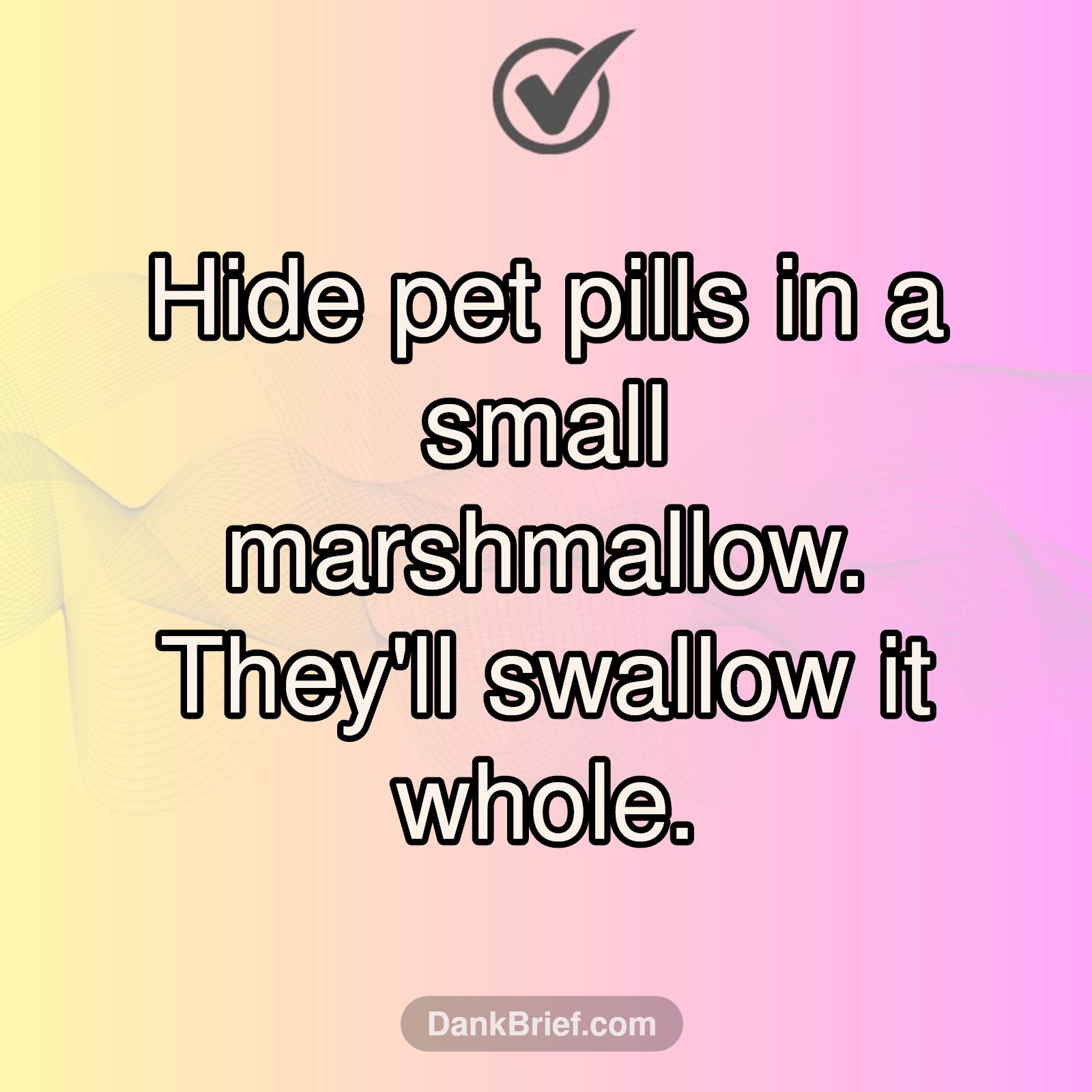 Pet Meds Made Easy!