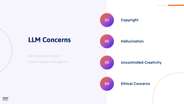 LLM CONCERNS 1