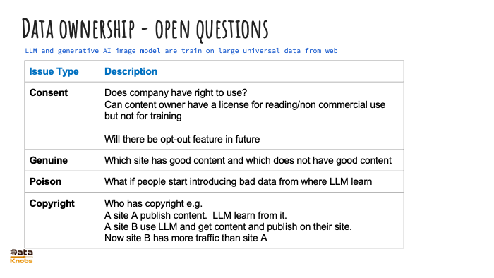 DATA OWNERSHIP ISSUES LLM