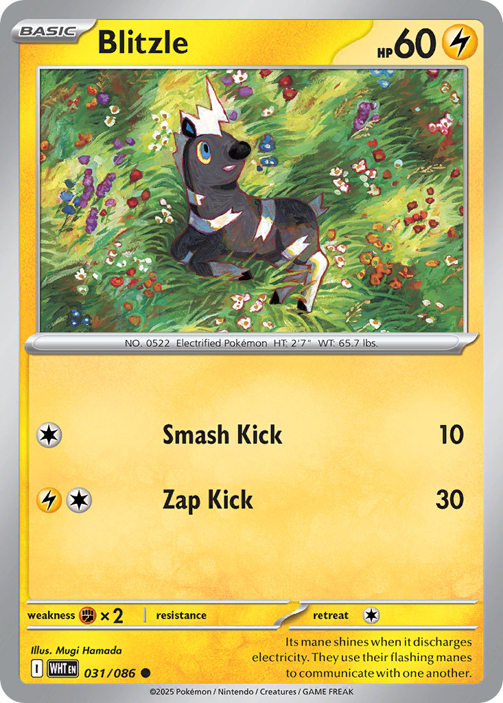 Blitzle 31 (Poké Ball)