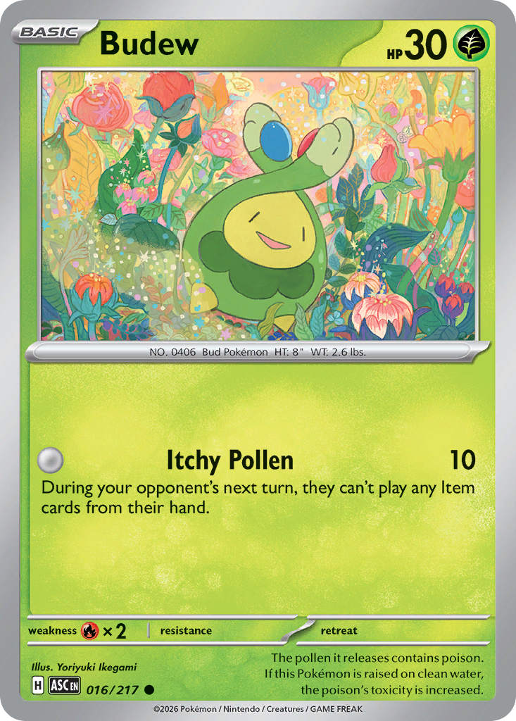 Budew 16