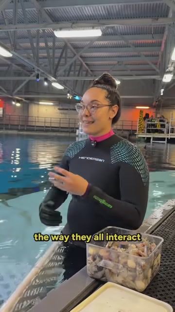 A person in a wetsuit stands beside a swimming pool, holding a container of food.