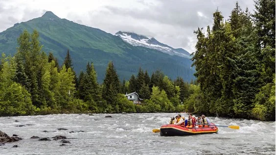 Alaska wildlife whale watching from Disney Cruise Line