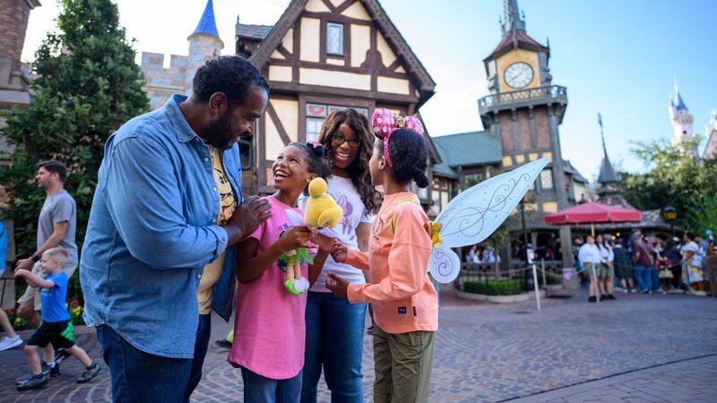 Peter Pan's Flight