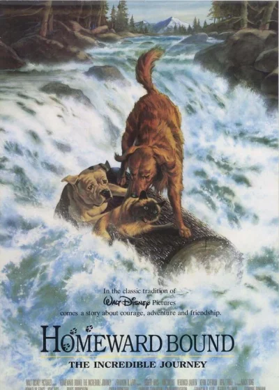Homeward Bound: The Incredible Journey