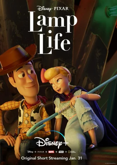 Lamp Life