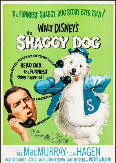 The Shaggy Dog