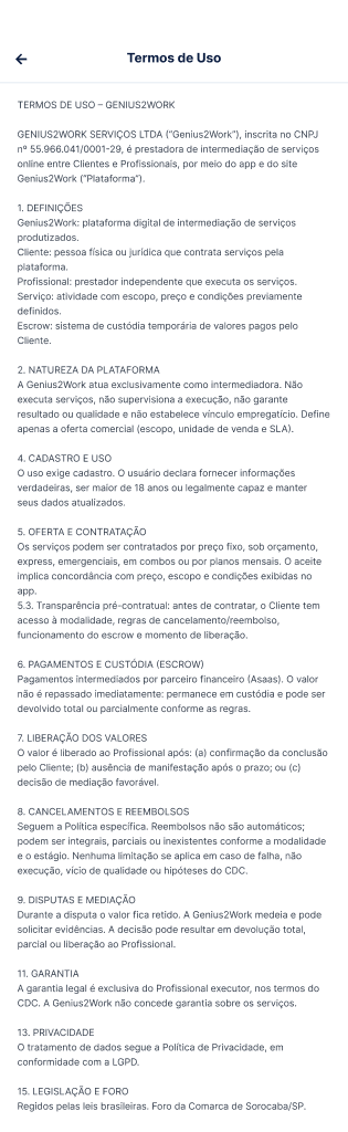 Tela Termos de Uso