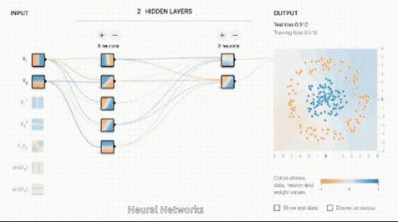 Neural Network