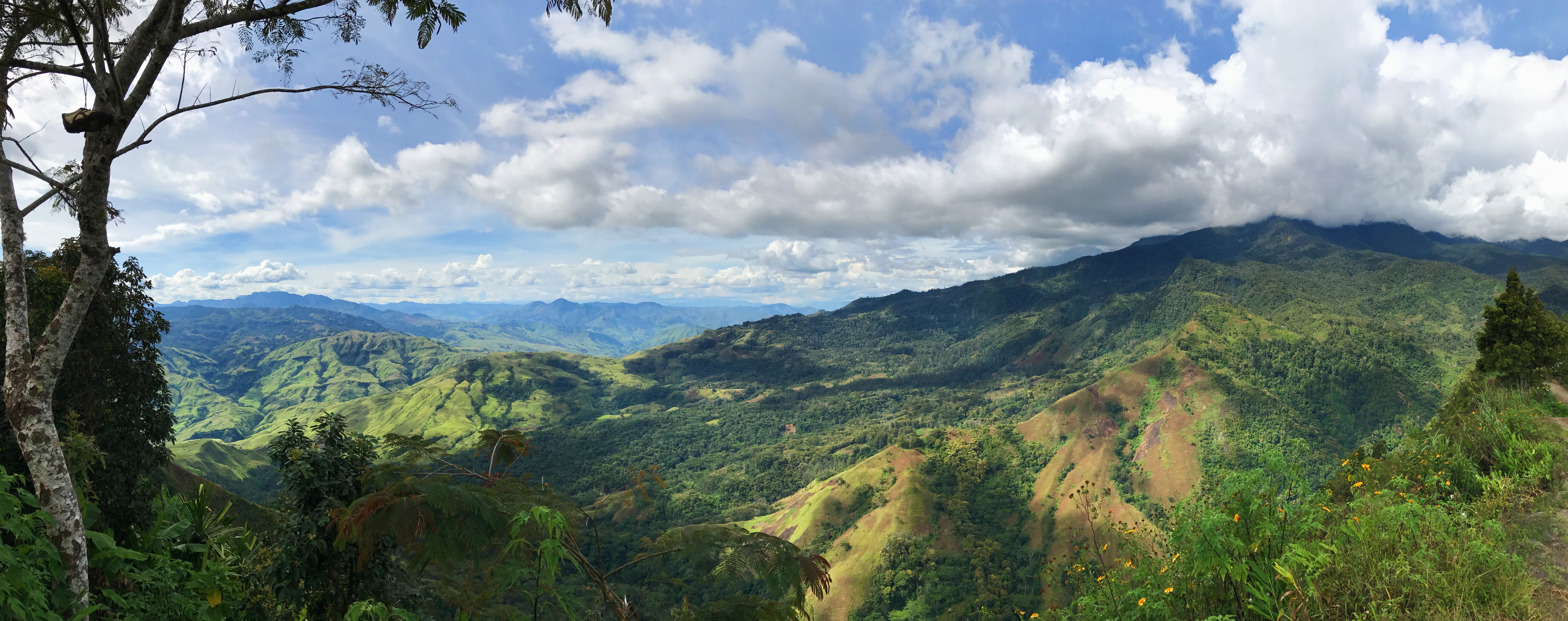 ExxonMobil PNG LNG Monitoring