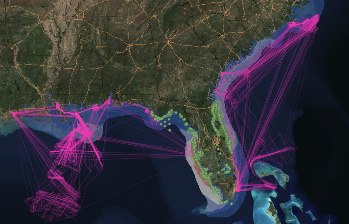 Advanced data infrastructure and connectivity visualization
